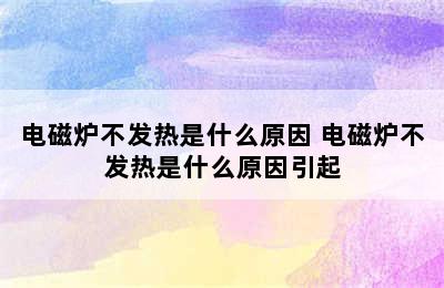 电磁炉不发热是什么原因 电磁炉不发热是什么原因引起